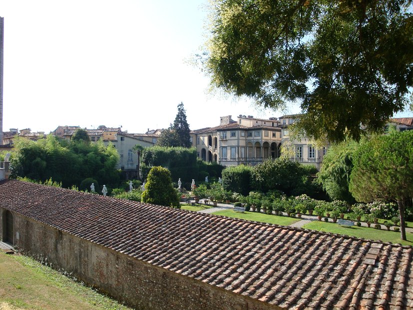 LUCCA 7
